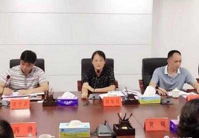 發(fā)揮嶺南旅游優(yōu)勢，共筑封開旅游新篇章——嶺南集團(tuán)調(diào)研封開旅游開發(fā)項(xiàng)目